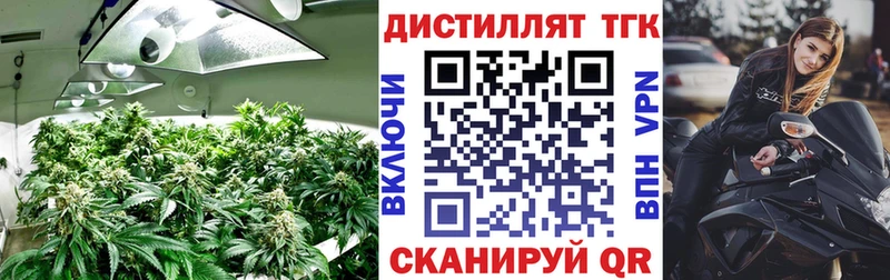 Дистиллят ТГК THC oil Кунгур