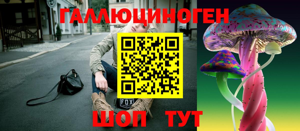 Псилоцибиновые грибы Psilocybe Кунгур