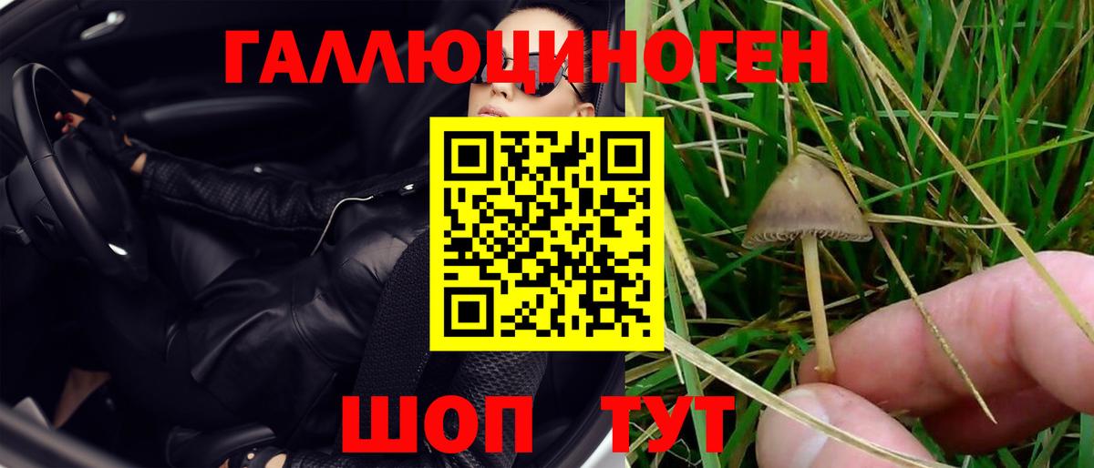 Галлюциногенные грибы мухоморы  Вход с VPN  Кунгур 